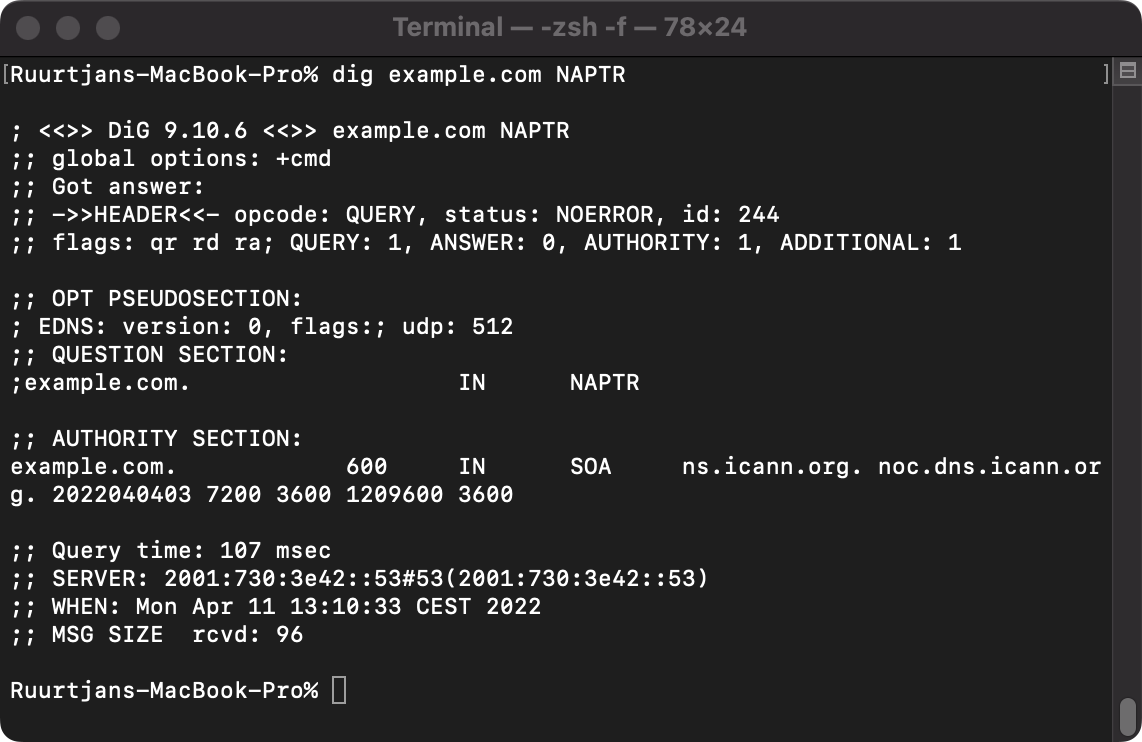 Example output of a NAPTR lookup query