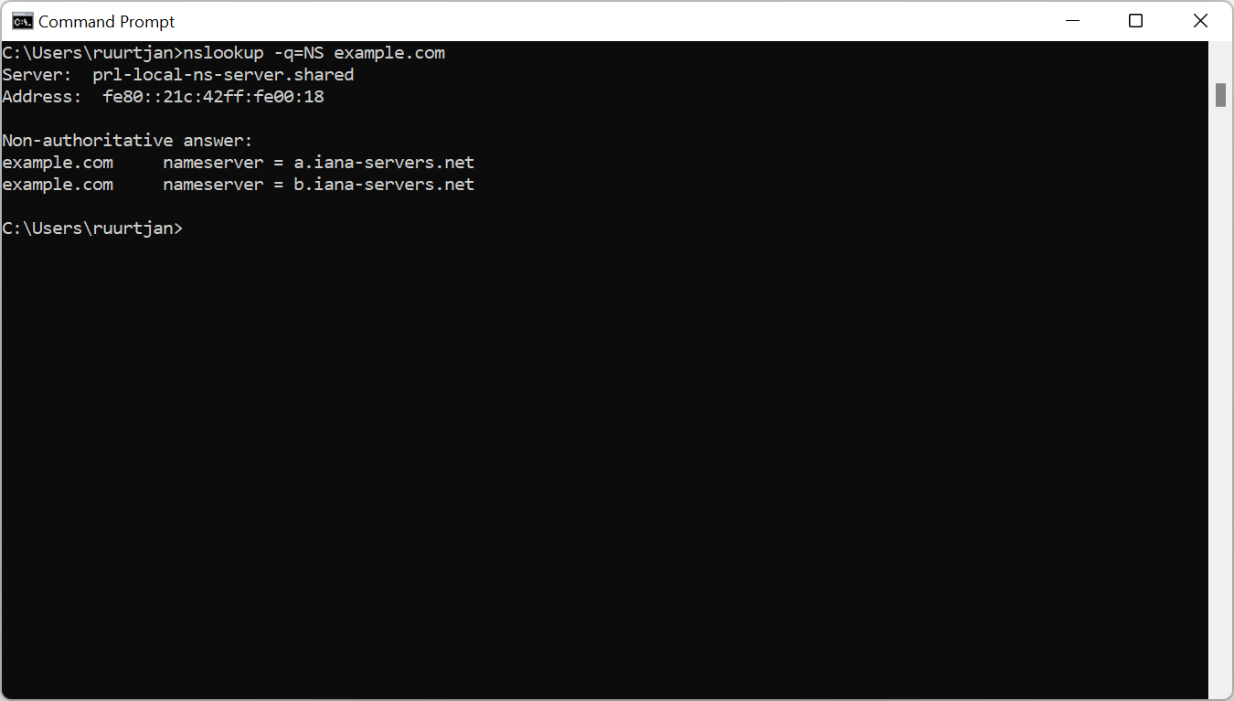 NS lookup in Windows